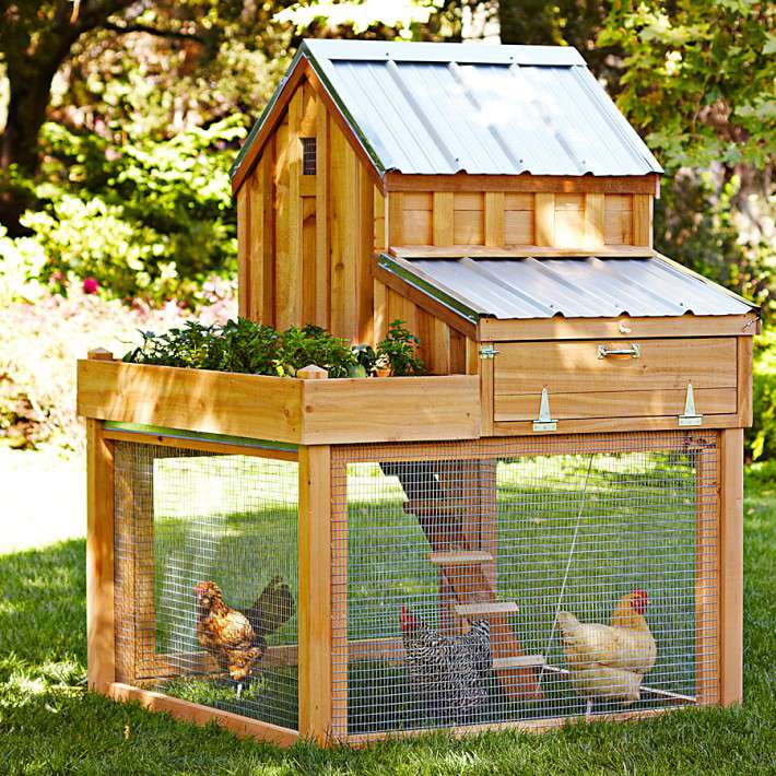 POULTRY: COOPS & HOUSES