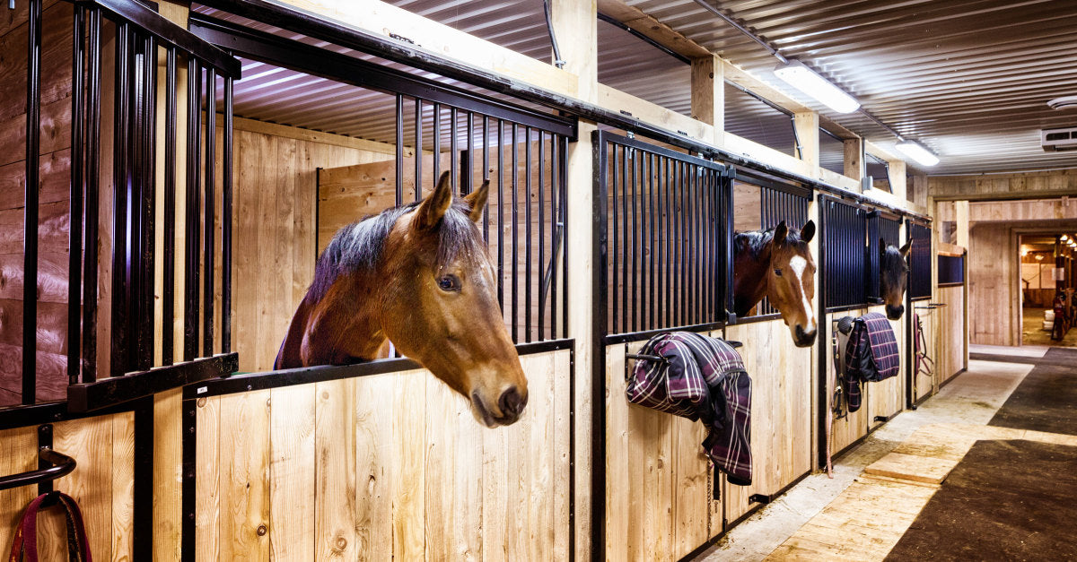 HORSE: STABLE & BARN ACCESORIES