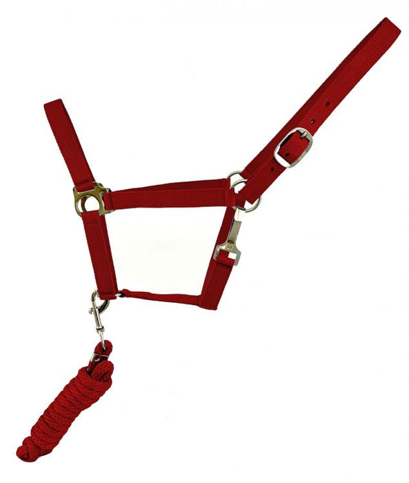 RED Full Size adjustable nylon halter with 8.5FT lead
