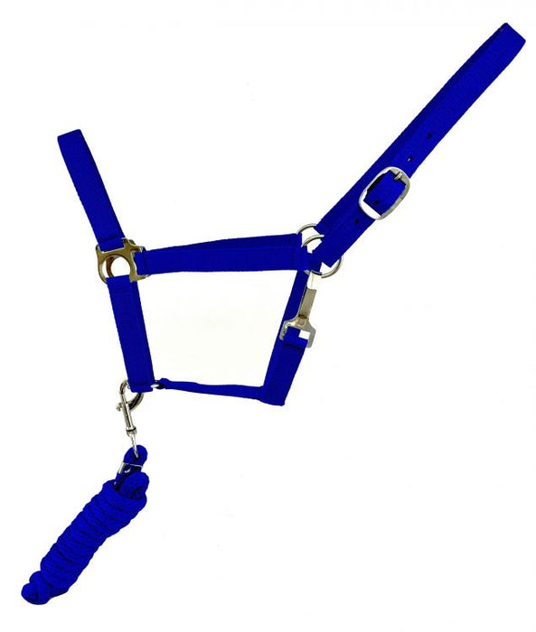 BLUE Full Size adjustable nylon halter with 8.5FT lead