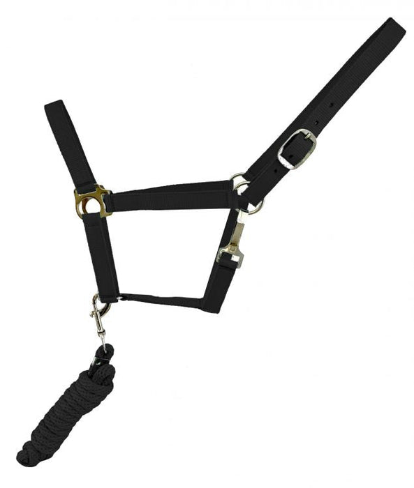 BLK Full Size adjustable nylon halter with 8.5FT lead