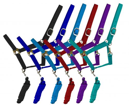 TEAL Full Size adjustable nylon halter with 8.5FT lead