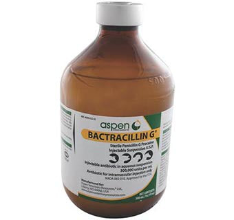 BACTRACILLIN G® INJECTABLE SUSPENSION U.S.P. 500 ML
