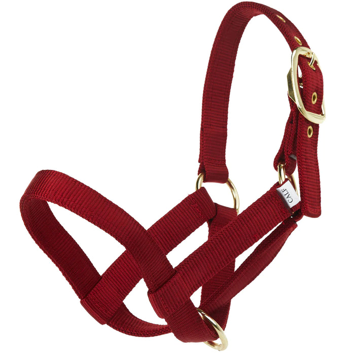 CALF HALTER TURN OUT - RED