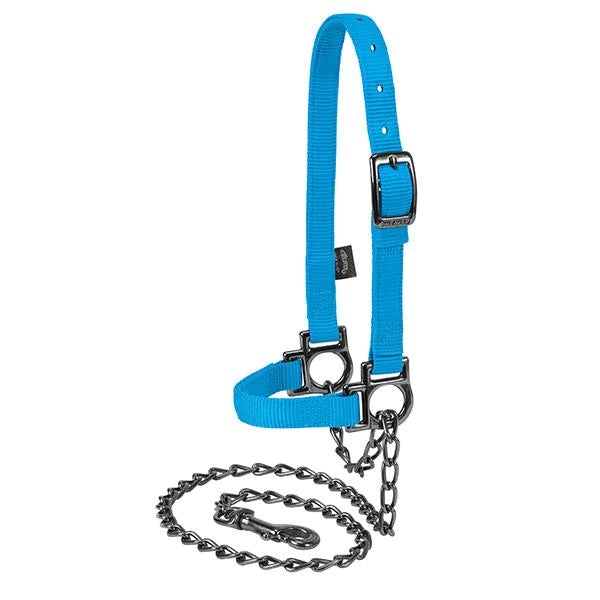 Nylon Adjustable Sheep Halter with Chain Lead - Hurricane Blue