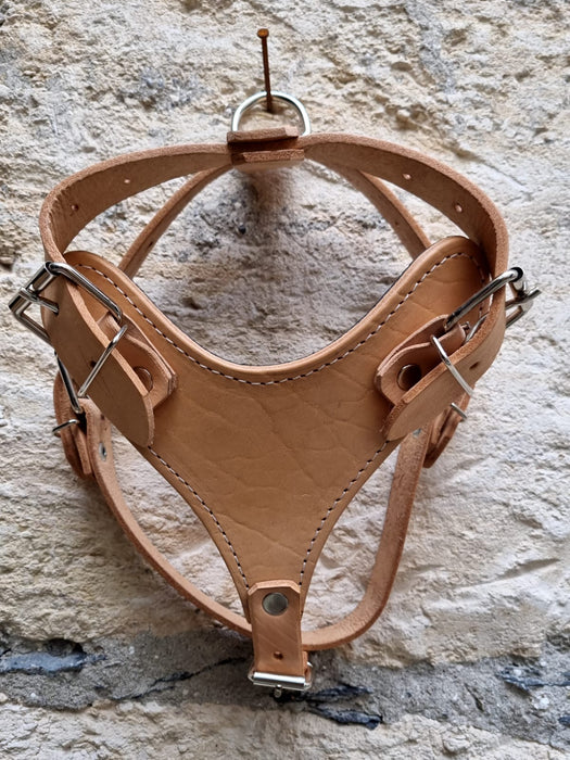 SMALL- LEATHER HARNESS FOR DOGS - LIGHT OIL
