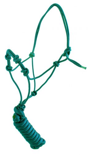 TEAL HALTER W/ TRAINING KNOTS - YEARLING