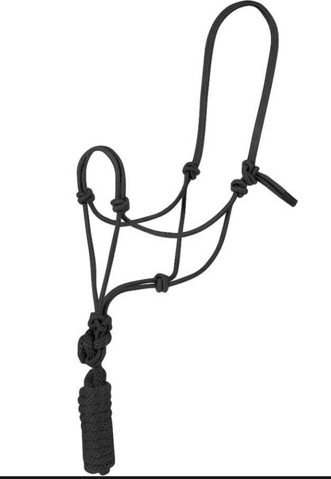 Economy Mountain Rope Halter and Lead - Black