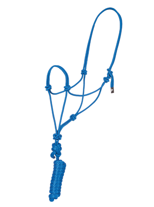 Economy Mountain Rope Halter and Lead - Blue