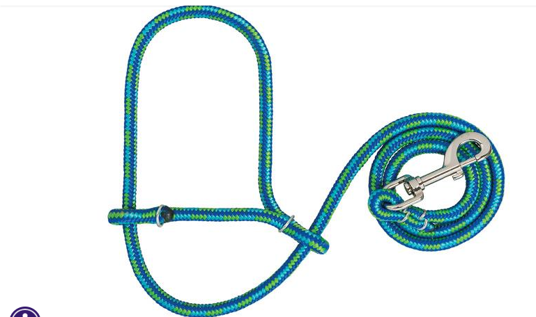 3/8'' Poly Rope Goat/Sheep Halter with Snap - blue/green
