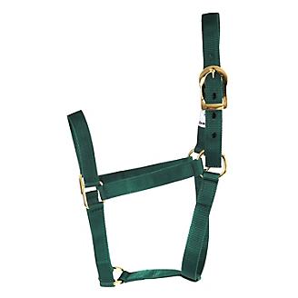 CALF HALTER TURN OUT - GREEN