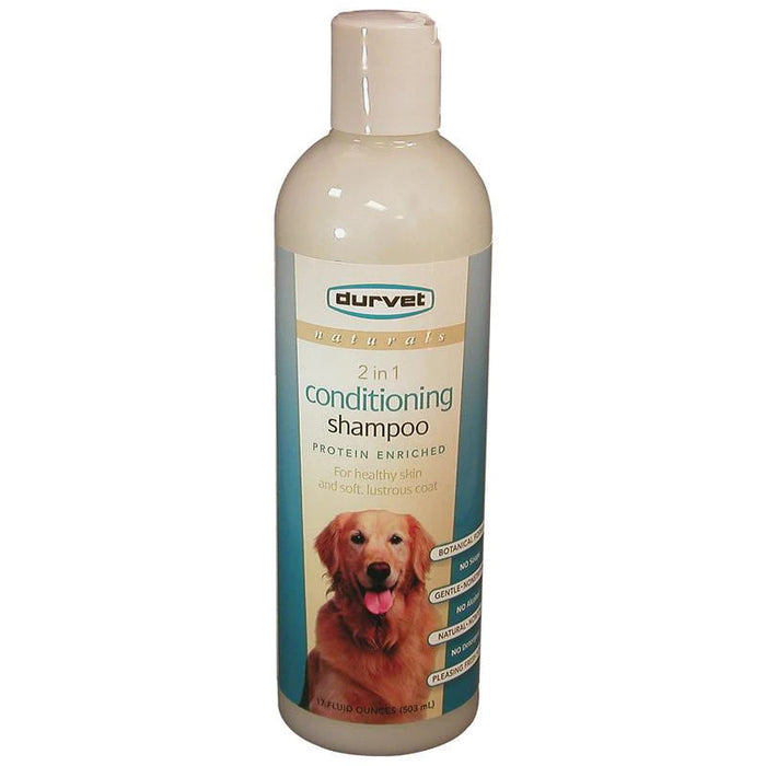 CONDITIONING SHAMPOO-2 IN 1 17OZ