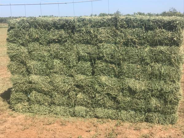 Rice Straw Bales (Weed Free) - 46 x 15 x 22 - Erosion Control – Sandbaggy