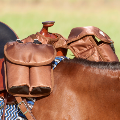 Horn Saddle Bag Medium