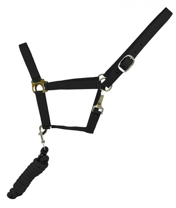 TURQUIOSE Full Size adjustable nylon halter with 8.5FT lead