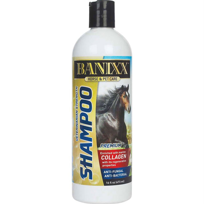 Banixx. Shampoo for Horse & Pet Care.