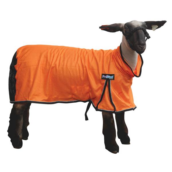 ProCool Goat Blanket with Reflective Piping - Medium Orange
