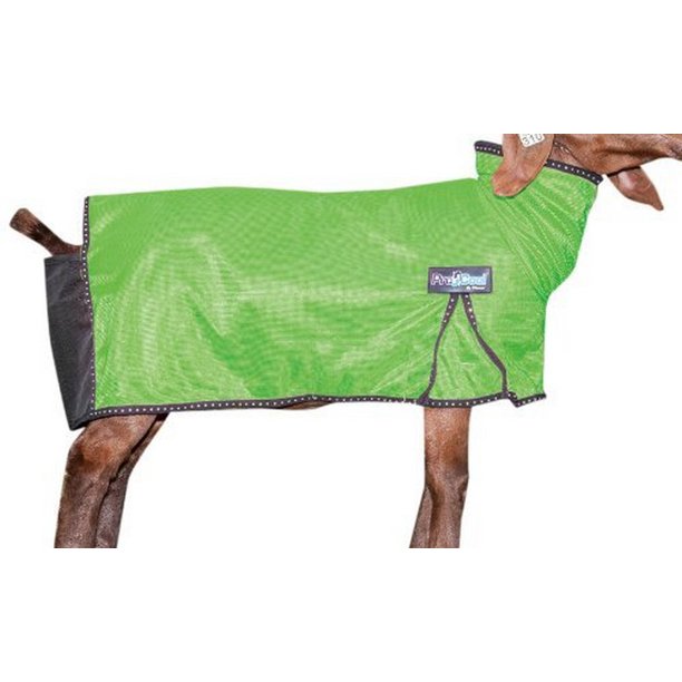 ProCool Goat Blanket with Reflective Piping - Medium Lime
