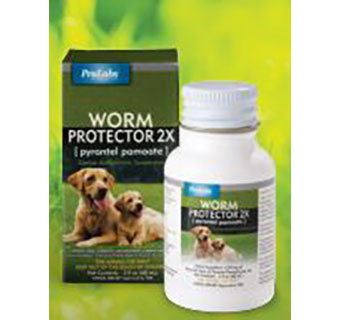 WORM PROTECTOR® 2X FOR DOGS - 2 X 2OZ