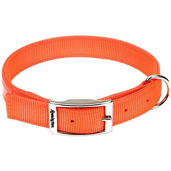 Pet Collar (fluorescent orange)