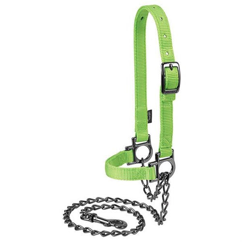 Nylon Adjustable Sheep Halter with Chain Lead