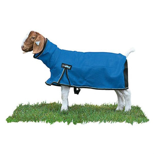 ProCool Goat Blanket with Reflective Piping - Medium Blue