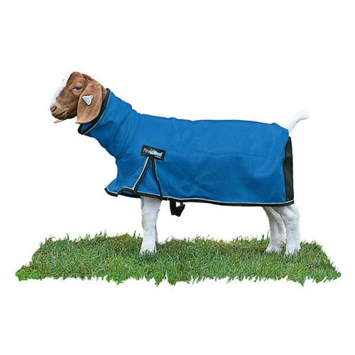ProCool Goat Blanket with Reflective Piping - Large Blue