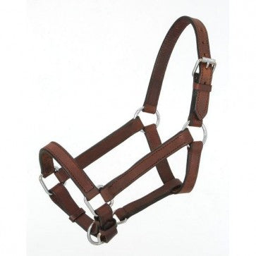 Brown Leather Halter Horse