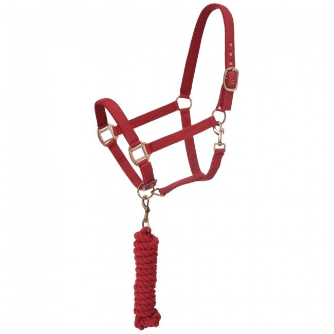RED - Neoprene Padded Halter with Lead Set