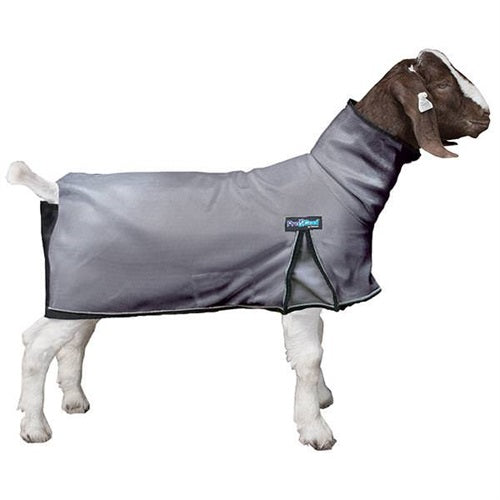 ProCool Goat Blanket with Reflective Piping - Medium Gray