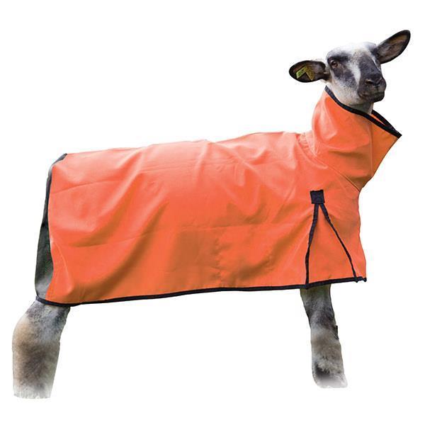 Sheep Blanket Tiger LG