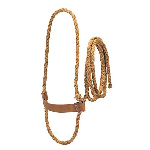 Sisal Rope Halter with Harness Leather Noseband, Cow