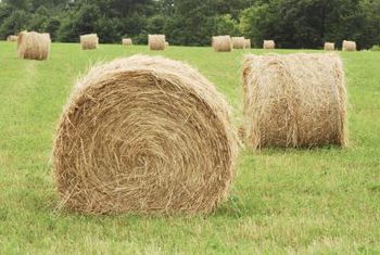 ROUND BALE HAY KNIFE  Western Ranch Supply