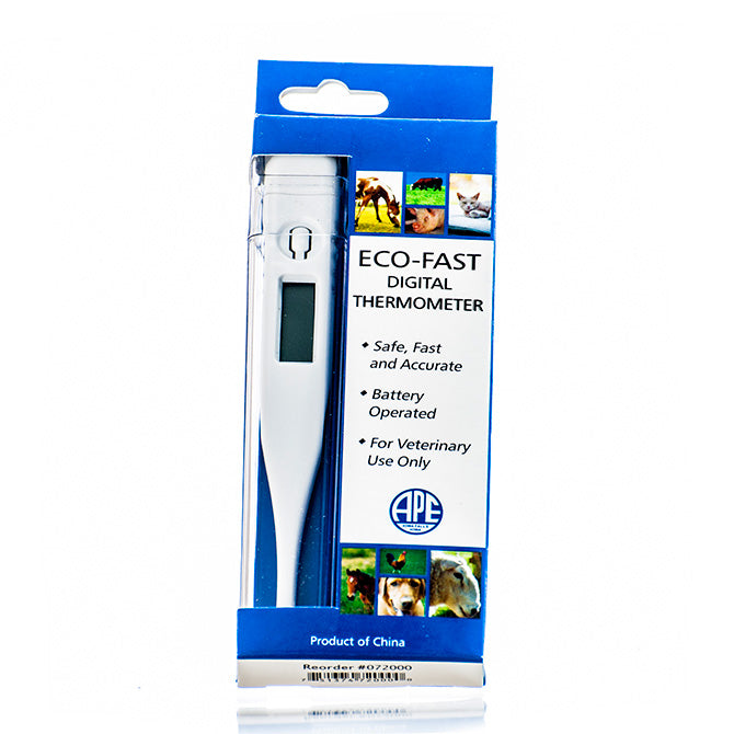 ECO FAST DIGITAL THERMOMETER