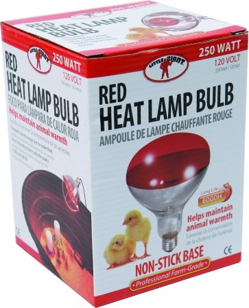 RED HEAT LAMP BULB