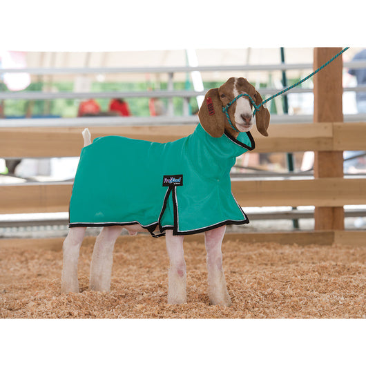 ProCool Goat Blanket with Reflective Piping - Medium Teal