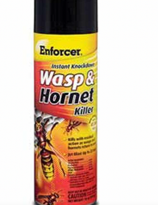 Enforcer: Wasp & Hornet Kill - 16 Oz.