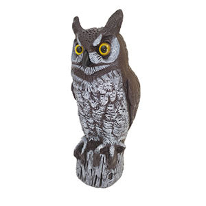 Horned Owl/ Buho