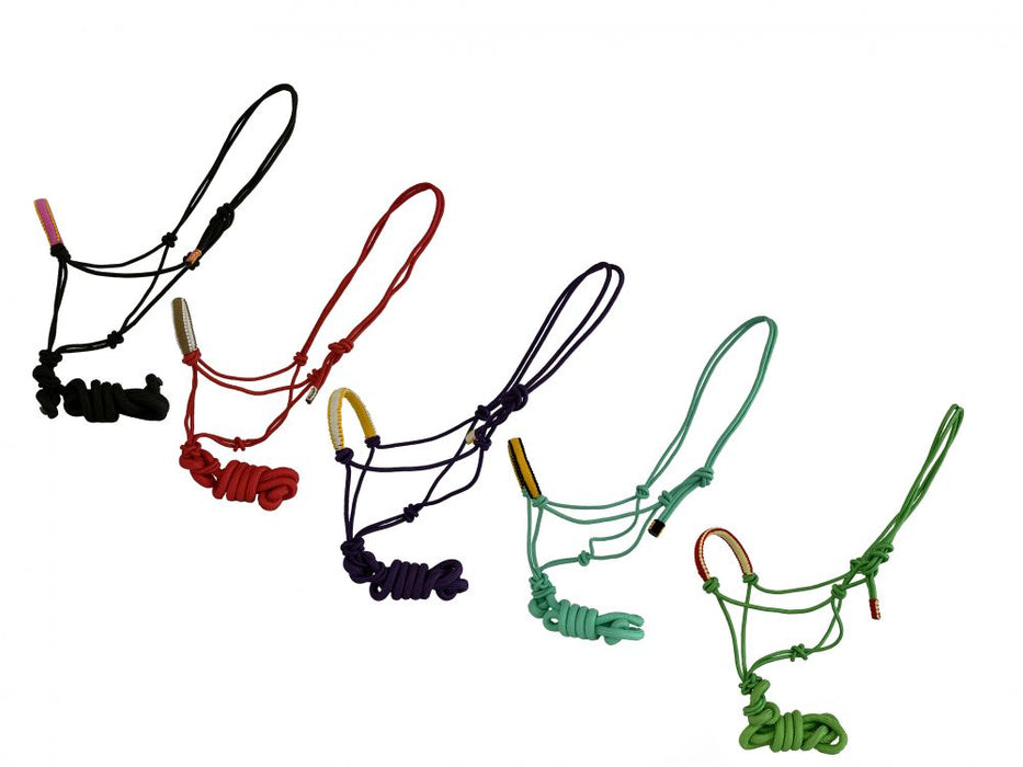 Horse size cowboy knot halter with matching removeable lead.