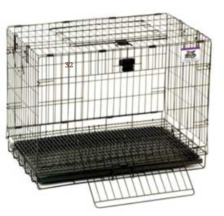 Little Giant: Rabbit Home Pop-Up 25" Small
