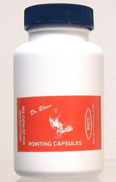 POINTING CAPSULES