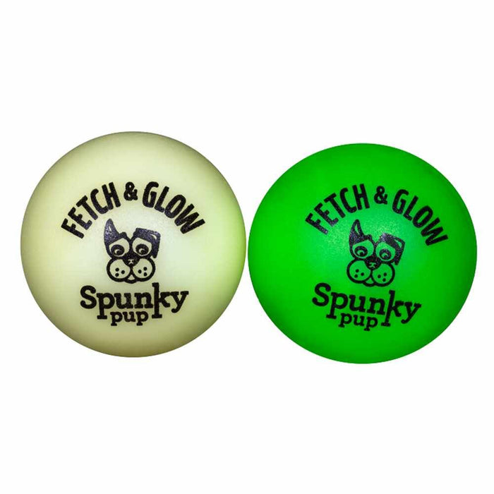 Fetch & Glow Ball Small 2-pack