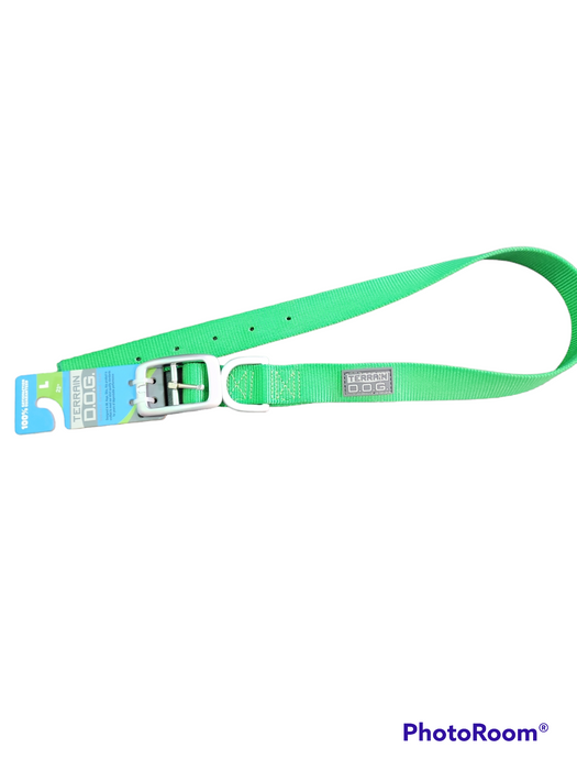 Nylon Single-Ply Dog Collar - Green - S NECK S. 13"
