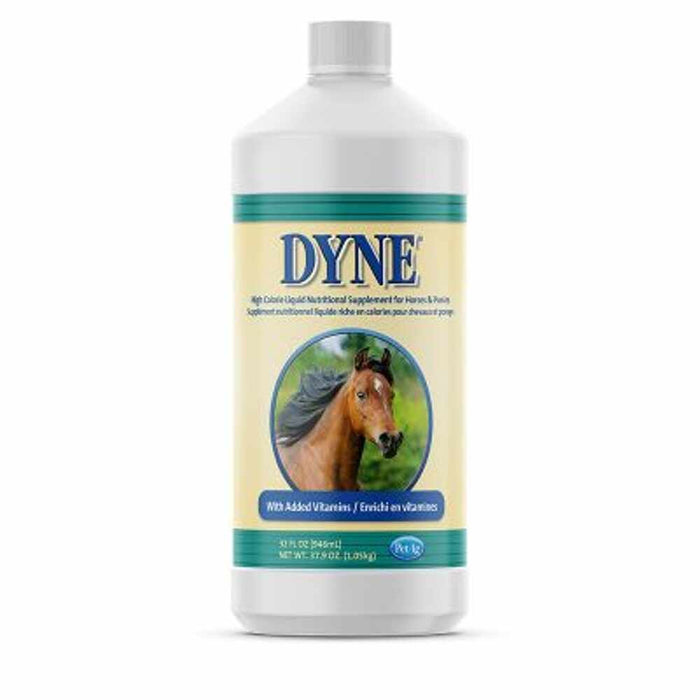 DYNE F/HORSES
