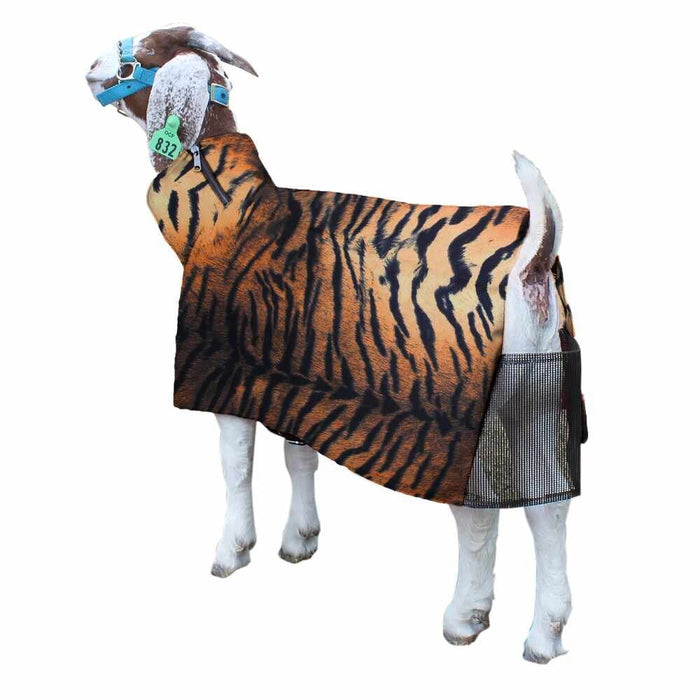 Goat Blanket Tiger XLG