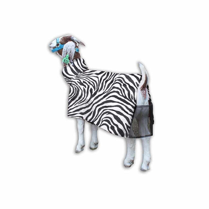 Sheep Blanket Zebra MED