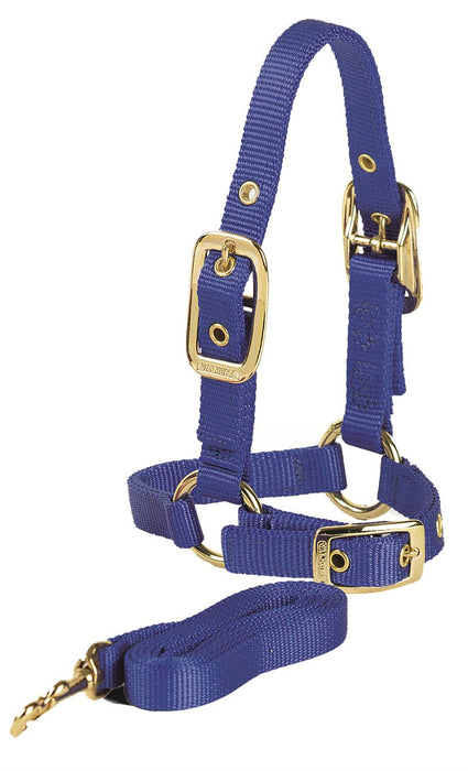 SHEEP HALTER W/LEAD RED