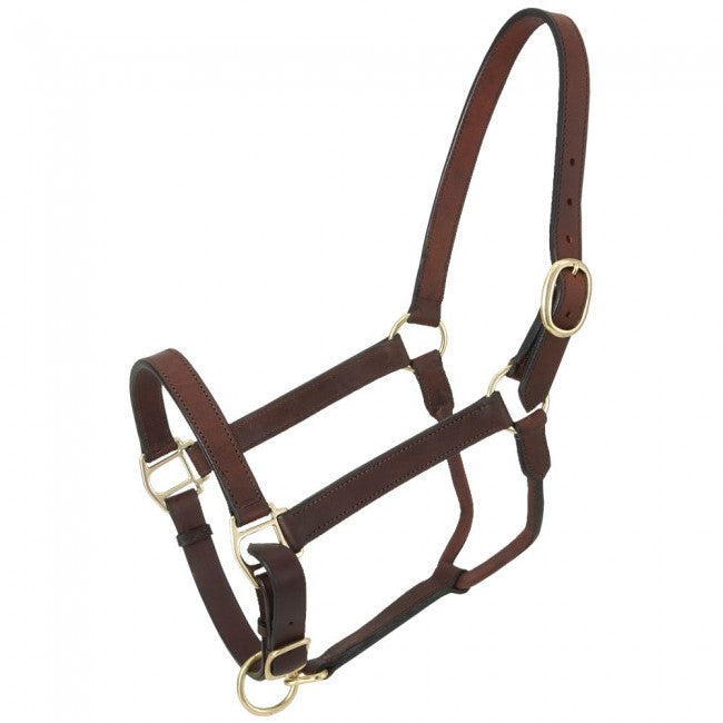 Royal King Leather Stable Halter
