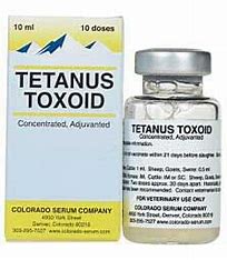 Colorado Serum: Tetanus Toxoid - Conc. 10Ds