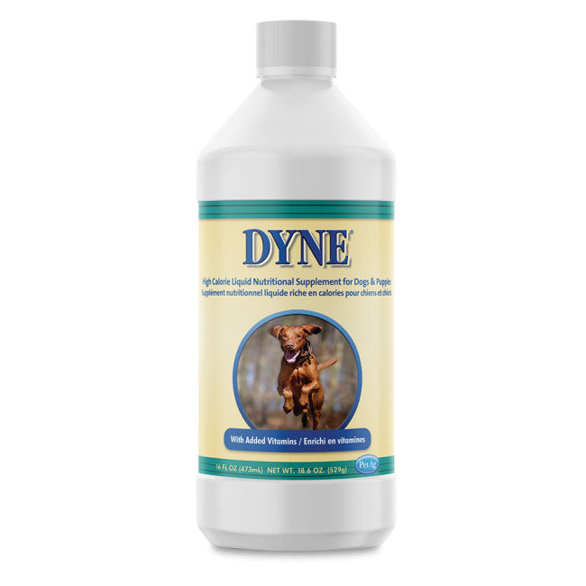 Dyne High Calorie For Dogs 16oz